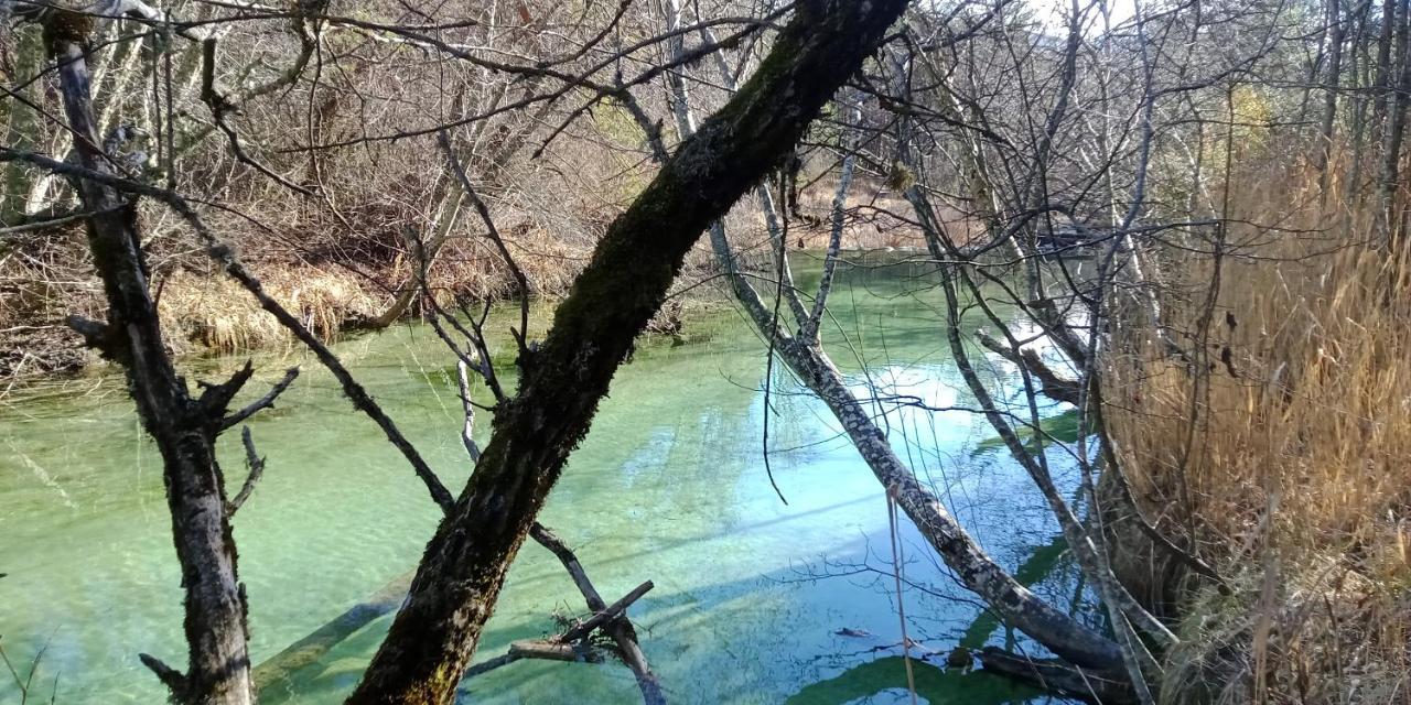 Montagne, Mer Et Verdon Séranon Екстериор снимка