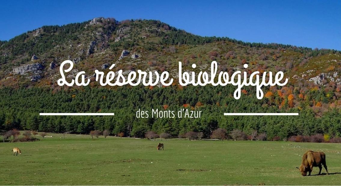 Montagne, Mer Et Verdon Séranon Екстериор снимка