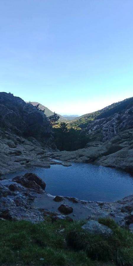 Montagne, Mer Et Verdon Séranon Екстериор снимка